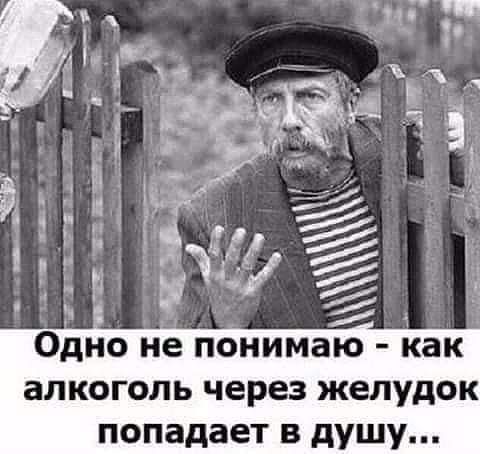 алкоголь через желудок попадает в душу