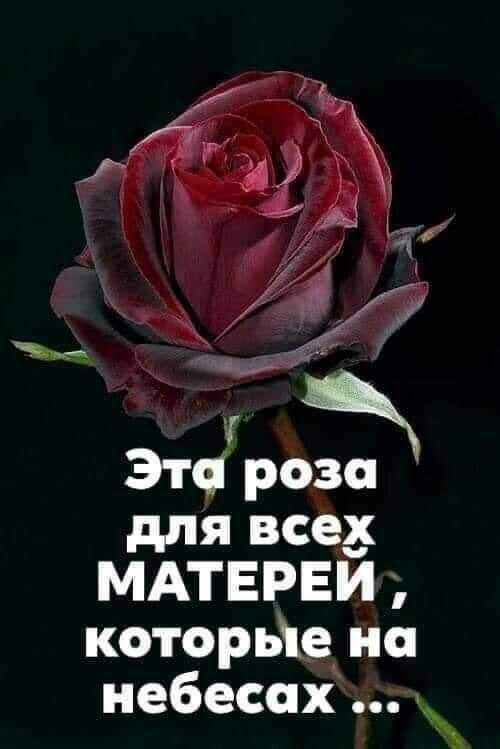 для все МАТЕРЕИ которьіе на небесах