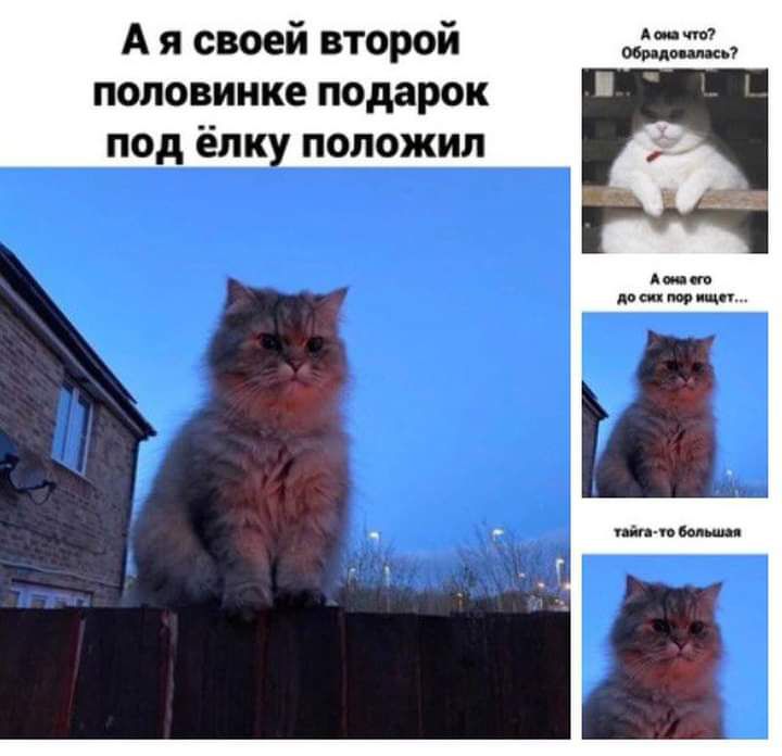 А я своей второй половинке подарок