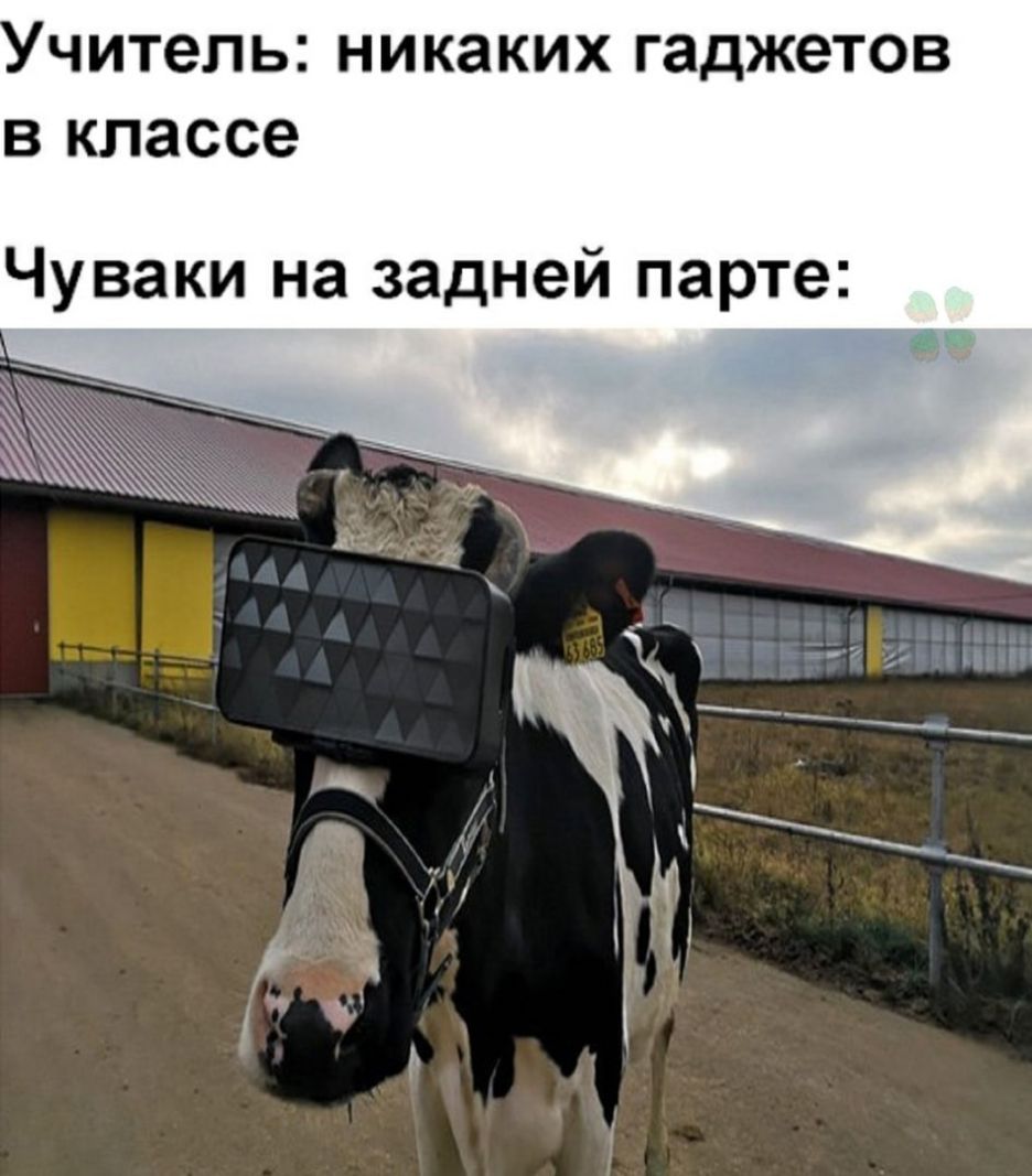 читель НИКЗКИХ гаджетов В классе Чуваки на задней парте