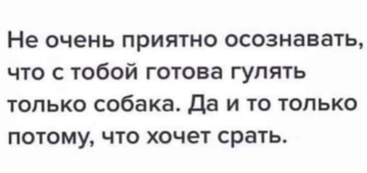 Не очень приятно осознавать что с тобой готова гулять только собака Да и то только потому что хочет срать