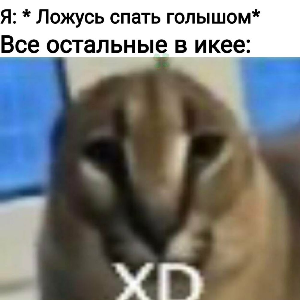 Я Ложусь спать голышом Все остальные в икее __
