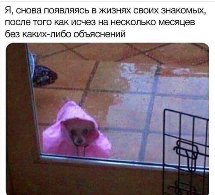 Я снова ПОЯВЛЯЯСЬ В ЖИЗНЯХ СВОИХ знакомых после того как исчез на несколько месяцев без каких либо объяснений
