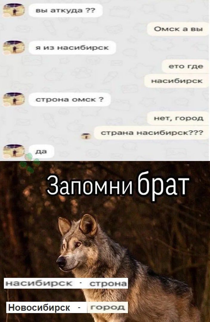 вы аткуда Омск 3 вы я из насибирск ето где насибирск _ стронг омск нет город _ страна насибирск