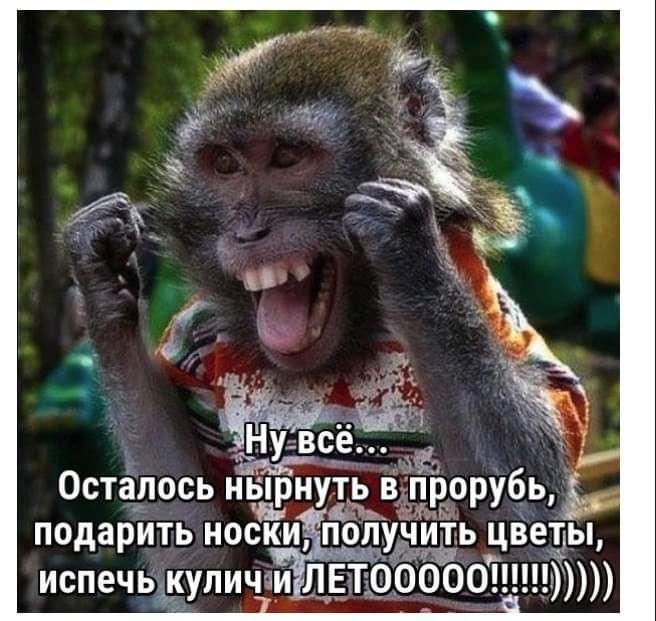 Ну всё А Осталось нырнуть в прорубь подарить носки получить цёеты испечь куличщлвтообЁоцшюю