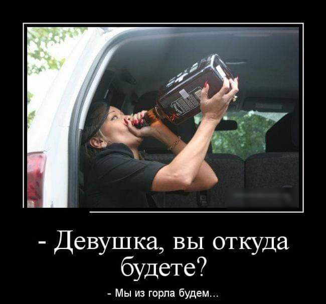 Девушка вы откуда будете Мы из горла будем