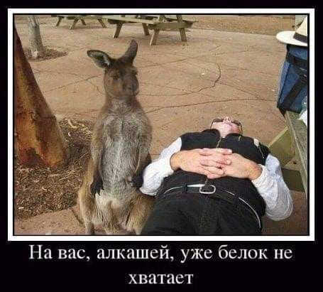 На вас алкашей уже белок не хватает