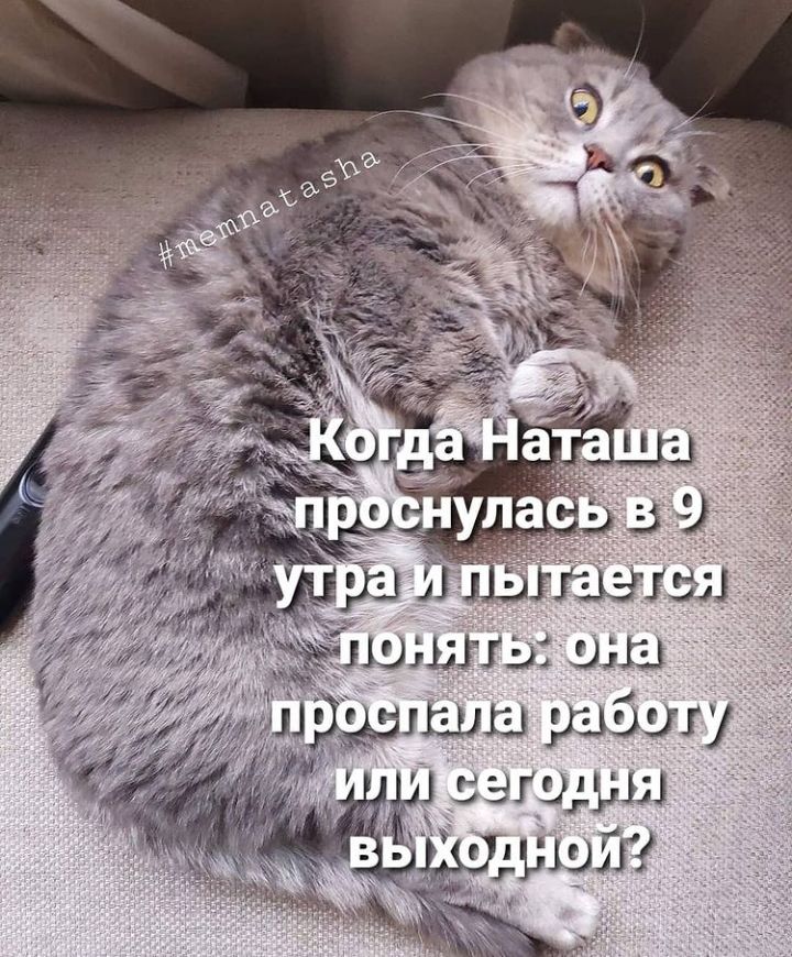 шла рзшшу 25310133151