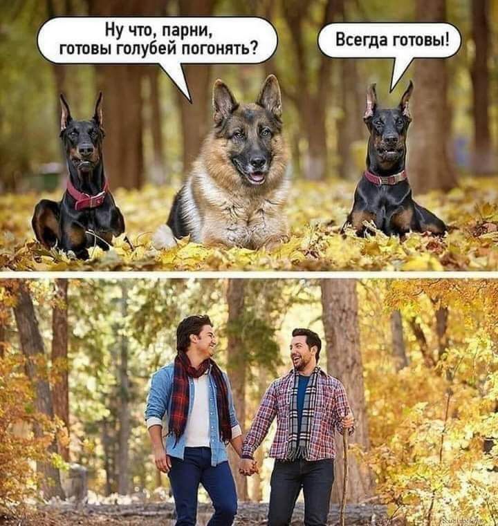 Ну что парни готовы гопубеи погонять Всегда готовы
