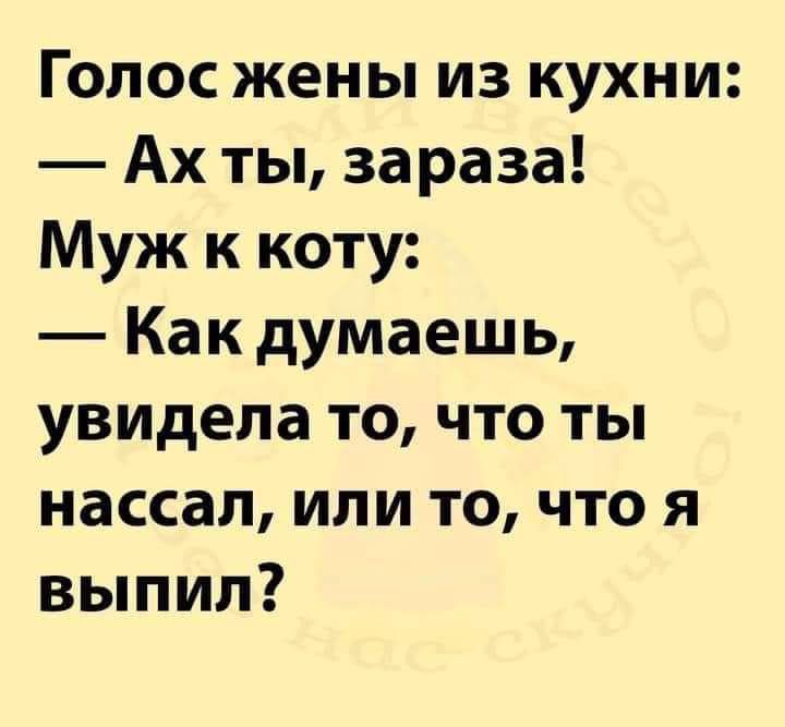 Голос жены из кухни Ах ты зараза Муж к коту Как думаешь увидела то что ты нассал или то что я выпил