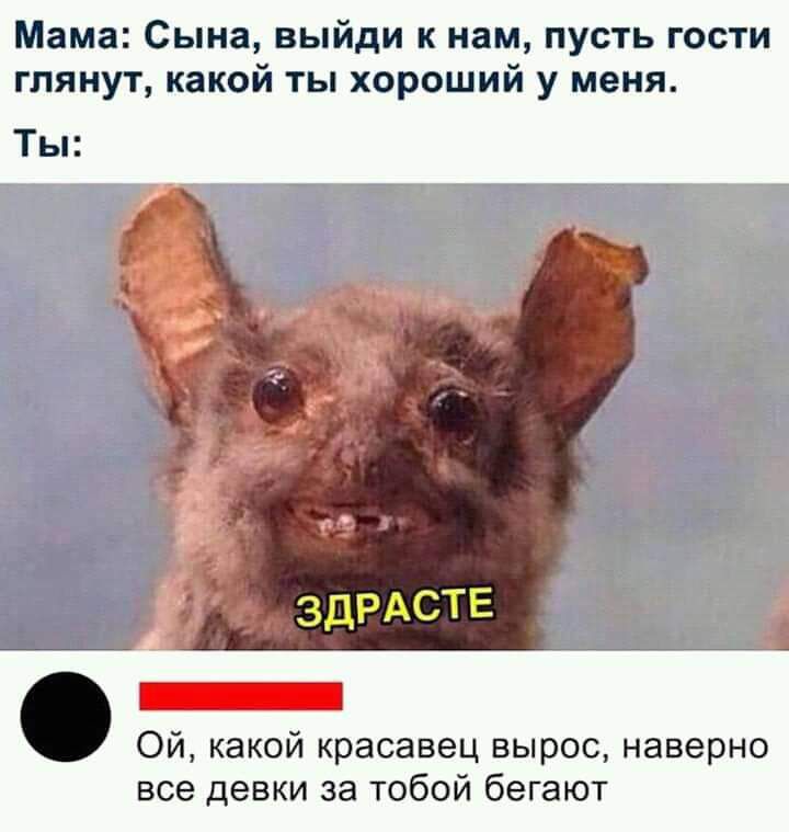 Мама Сына выйди к нам пусть гости гпянут какой ты хороший у меня Ты Ой какой красавец вырос наверно все девки за тобой бегают