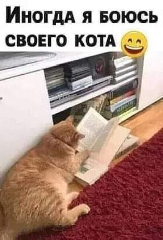 ИногдА я Боюсь
