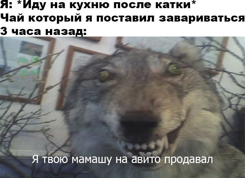 ду на кухню после катки Чай который я поставил завариваться 3 часа паза 7 _ 4 4 ч Я твою мамашу на авито продавал
