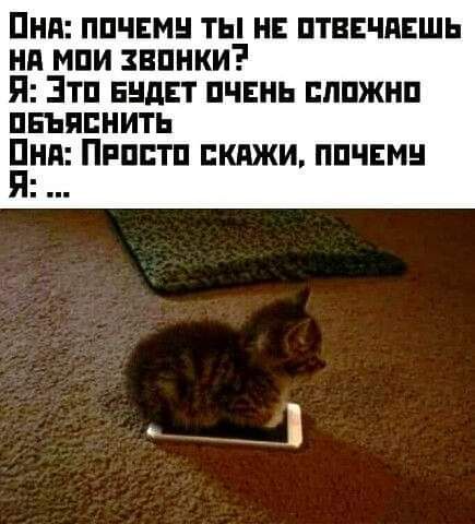 ПНП ППЧЕМН ТЫ НЕ ПТВЕЧПЕШЬ Нд МПИ ЗВПНКИ Я ЭТП ЕНдЕТ ПЧЕНЬ ПППЖНП ппяпнить Бия Пппптп кджи ппчвмн