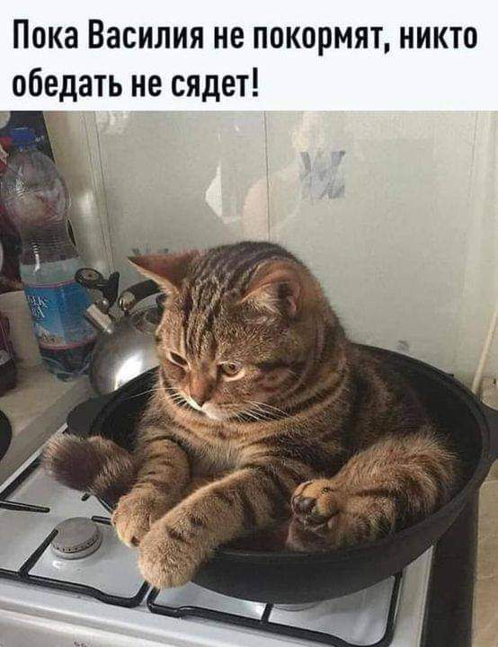 Пока Василия не покормят никто обедать не сядет