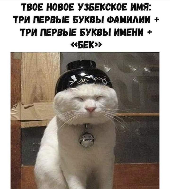 ТВОЕ НОВОЕ УЗБЕКСКОЕ ИМЯ ТРИ ПЕРВЫЕ БУКВЫ ФАМИАИИ ТРИ ПЕРВЫЕ БУКВЫ ИМЕНИ ББК