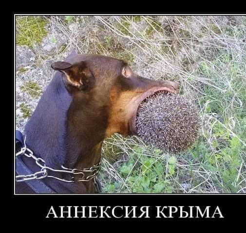 АННЕКСИЯ КРЫМА