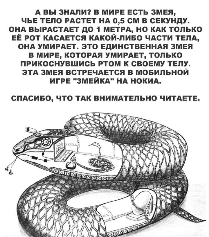 А вы ЗНАЛИ в МИРЕ Есть ЗМЕЯ ЧЬЕ ТЕЛО РАСТЕТ НА 05 см в СЕКУНДУ ОНА ВЫРАСТАЕТ до 1 МЕТРА но КАК только ЕЁ гот КАСАЕТСЯ КАКОЙ ЛИБО чдсти ТЕЛА ОНА УМИРАЕТ это ЕДИНСТВЕННАЯ ЗМЕЯ в МИРЕ КОТОРАЯ УМИРАЕТ только прикоснувшись ртом к СВОЕМУ ТЕПУ ЭТА зМЕя ВСТРЕЧАЕТСЯ в мовипьной ИГРЕ ЗМЕЙКА НА НОКИА СПАСИБО ЧТО ТАК ВНИМАТЕЛЬНО ЧИТАЕТЕ