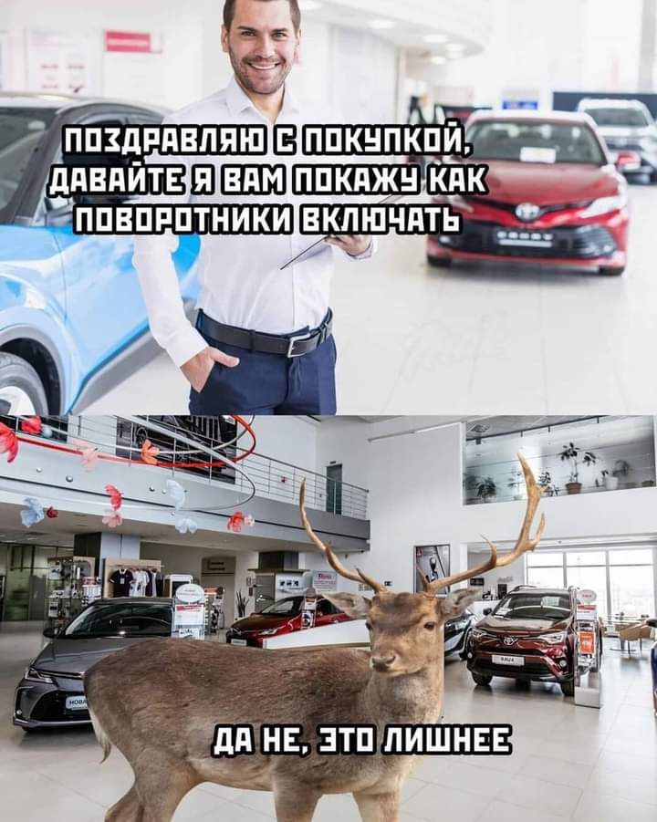 Апіідпдвпяш ппкнпкпй ддвдйтвЕіЕЩ ппкджнкдк
