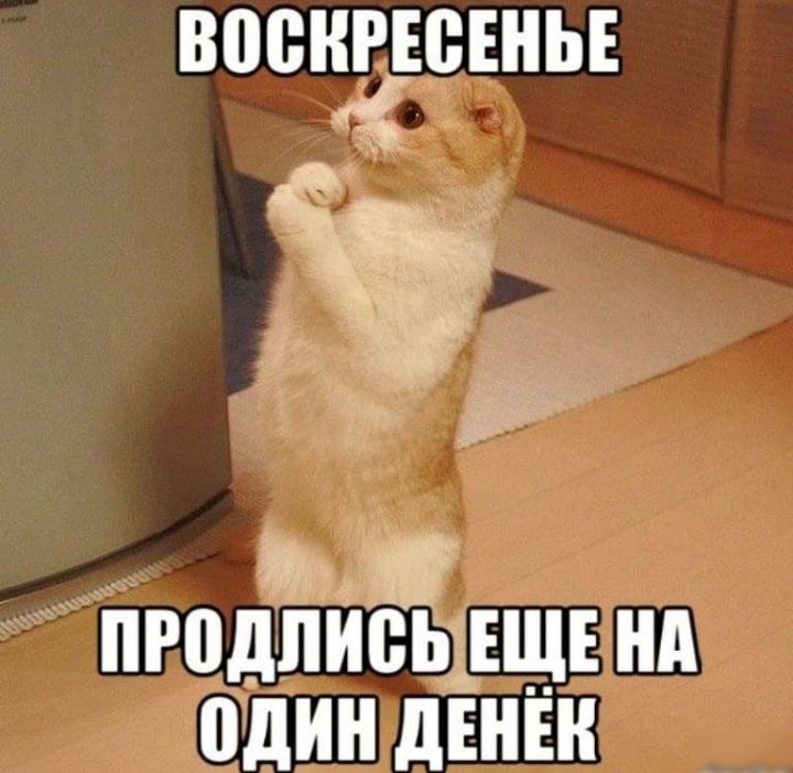ВПВНРЕВЕНЬЕ ПРПДЛИ0Ь___ЕЩЕ Нд один дЕНЕК