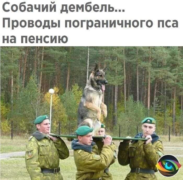 Собачий дембель Проводы пограничного пса на пенсию