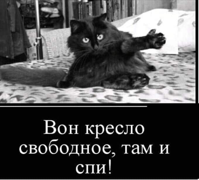 Вон кресло сво60дное там и спи