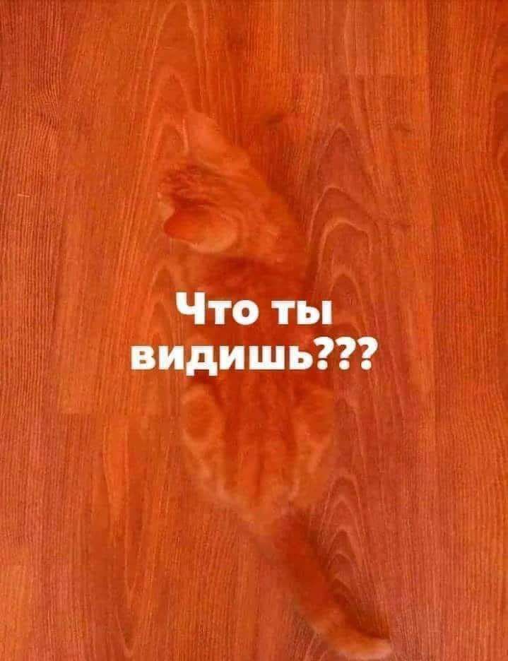 Что ты видишь