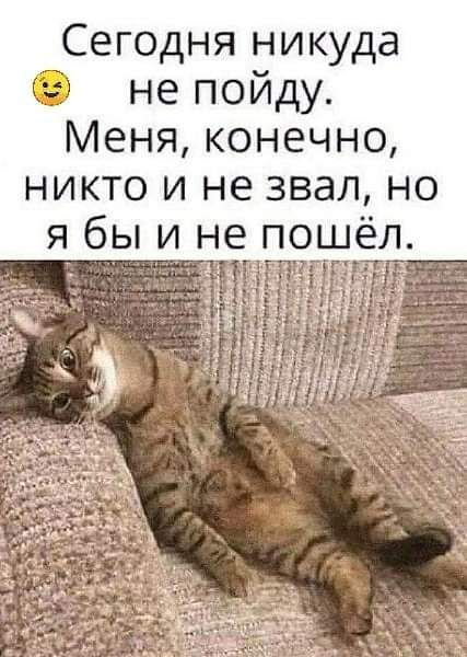 Сегодня никуда не пойду Меня конечно никто и не звал но я бы и не пошёл