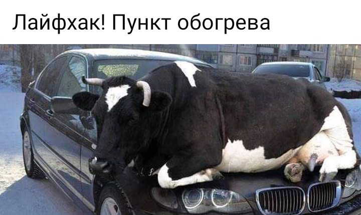 Лайфхак Пункт обогрева
