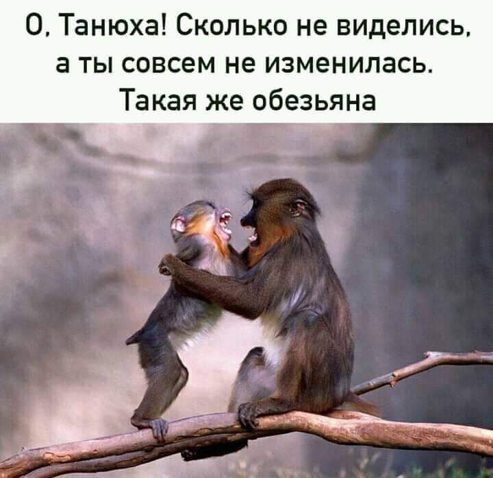 О Танюха Сколько не виделись а ты совсем не изменилась Такая же обезьяна