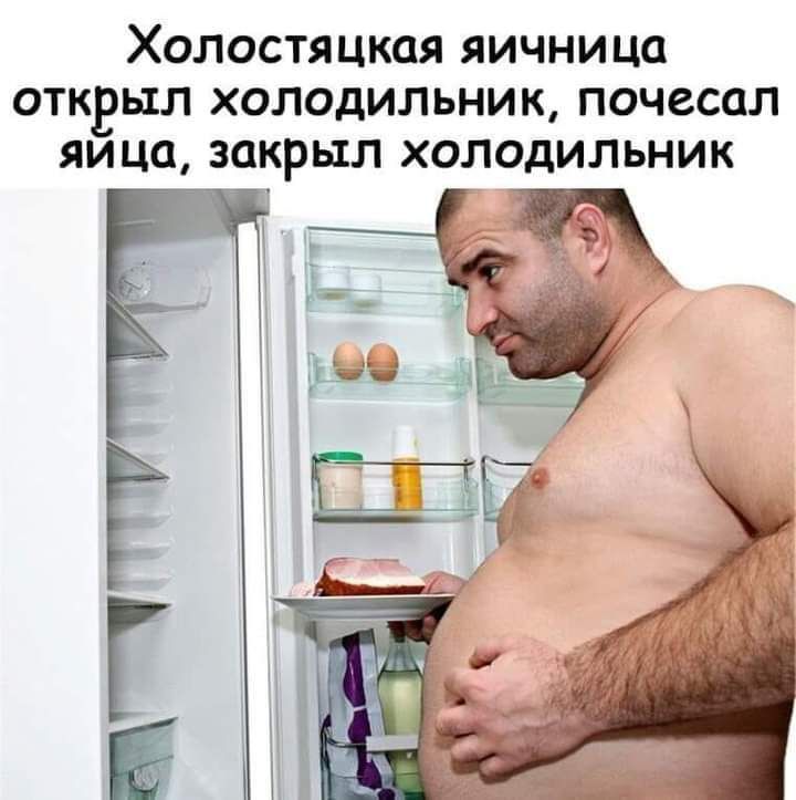 ХОЛОСТЯЦКОЯ ЯИЧНИЦО ОТКВЫЛ ХОЛОДИЛЬНИК ПОЧССОЛ ЯИЦО ЗОКРЫЛ ХОЛОДИЛЬНИК