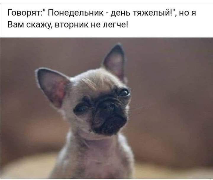 Говорят Понедельник день тяжелый но я Вам скажу вторник не легче
