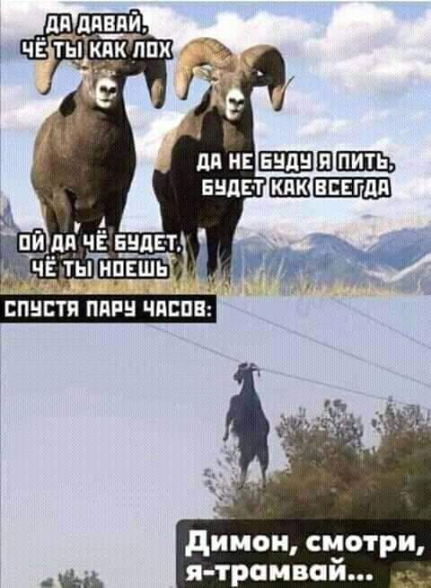 пи дц чё Е_дЕ Т мч ды ипешь дийои смотри _ шв я трамвпй