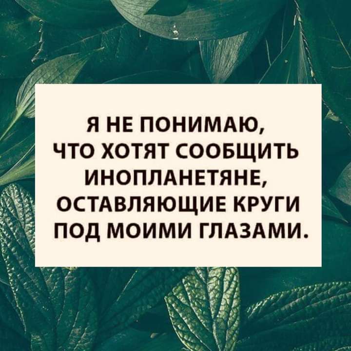 Я НЕ ПОНИМАЮ ЧТО ХОТЯТ СООБЩИТЬ ИНОПЛАНЕТЯНЕ ОСТАВЛЯЮЩИЕ КРУГИ ПОД МОИМИ ГЛАЗАМИ