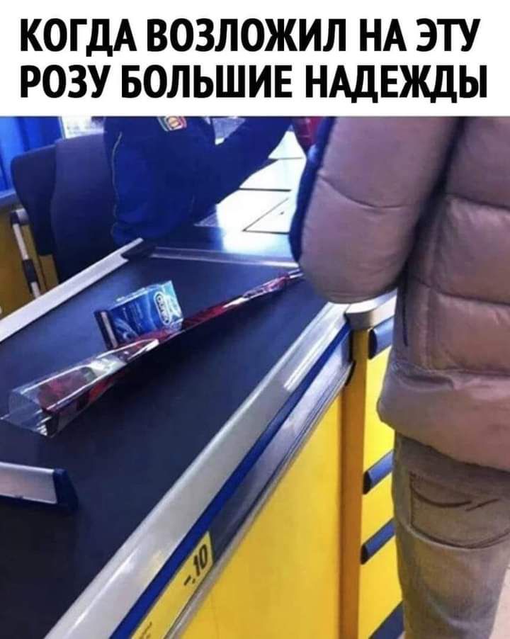 КОГДА ВОЗЛОЖИЛ НА ЭТУ РОЗУ БОЛЬШИЕ НАДЕЖДЫ