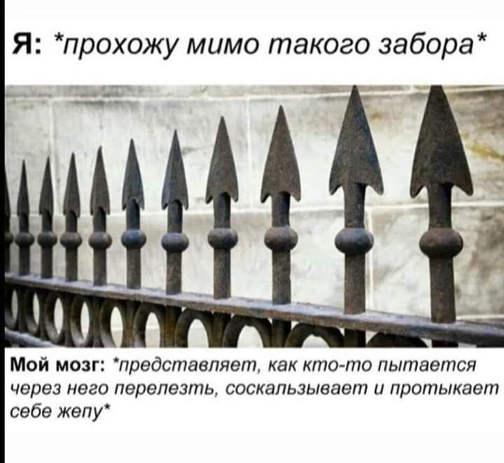 Я прохожу мимо такого забора Мой мозг предстаепяет как кто то пытается через него первпезть соскальзывает и протыкает себе жепу