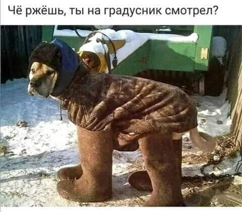 Чё ржёшь ты на градусник смотрел