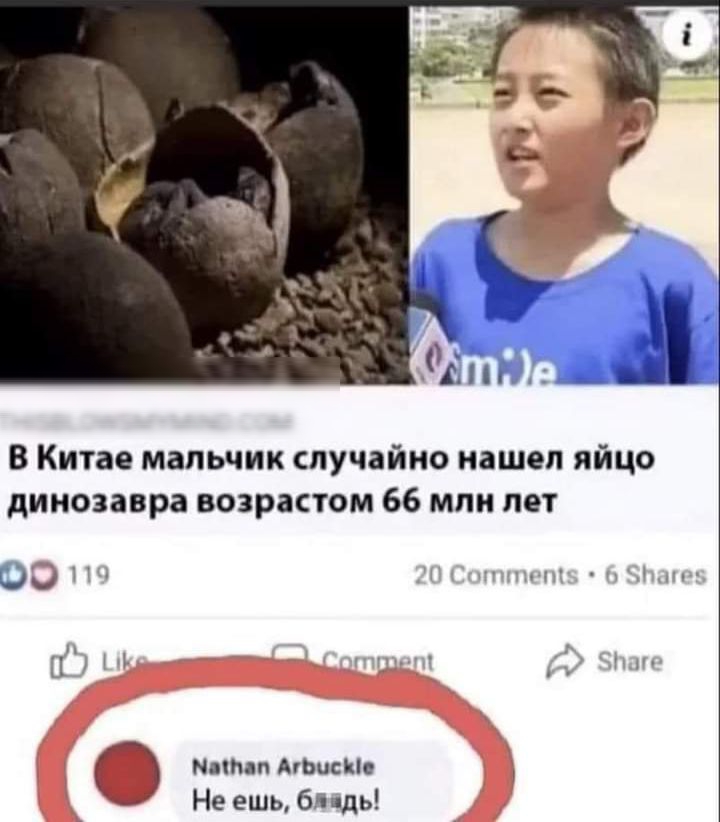 В Китае мальчик случайно нашел яйцо динозавра возрастом 66 млн лет ости у ш ин О ниш п мысы Не ешь бл дь