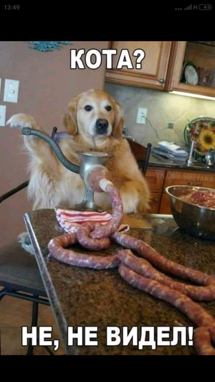 нвнв видет