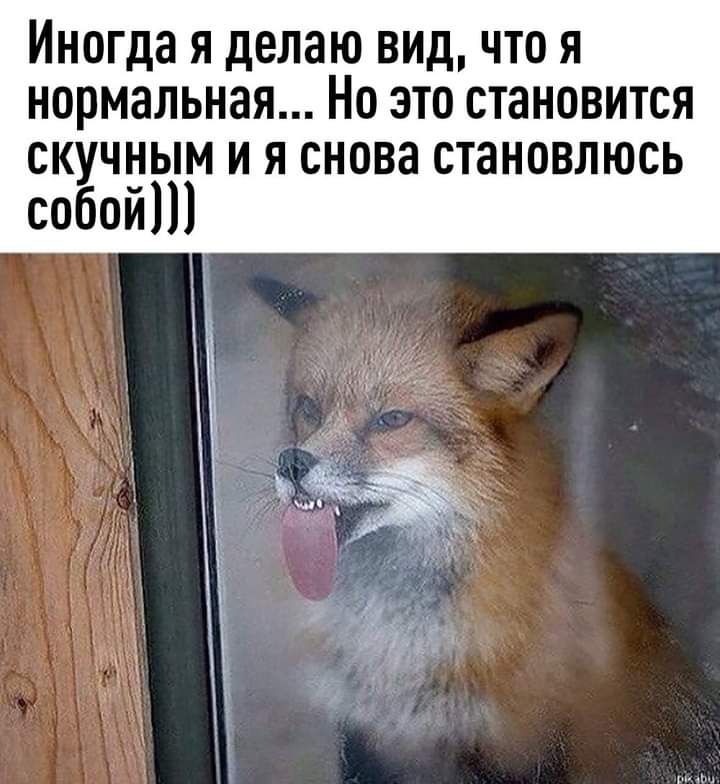 Иногда я делаю вид что я нормальная Но это становится скучным и я снова становлюсь собоит