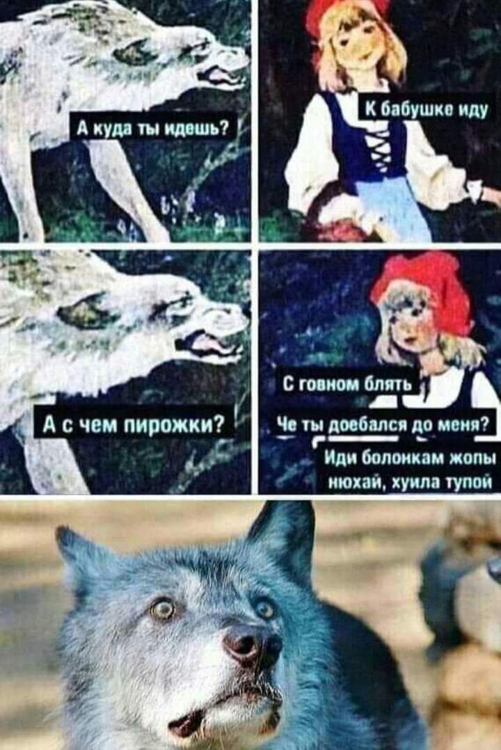 Или ботинкам жопы тона хуипв тупой