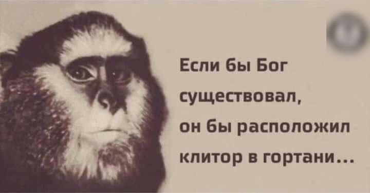 Если бы Бог существовал он бы расположил кпитор в гортани
