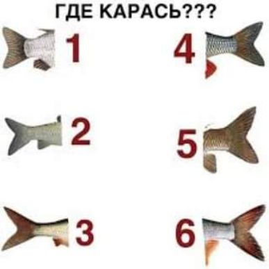 ГДЕ КАРАСЬ 11 4 12 534 чз в