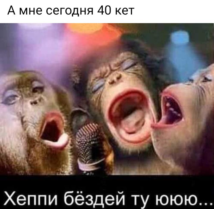 А мне сегодня 40 кет Хеппи бёздей ту ююю