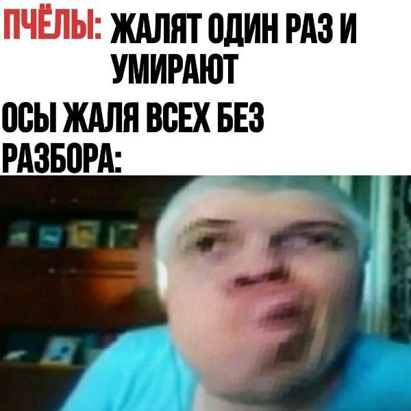 ЖАЛНТ БЛИН РАЗ И УМИРАЮТ осы ЖАЛЯ ВСЕХ БЕЗ РАЗБПРА