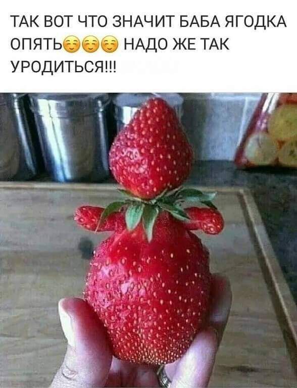 ТАК вот что ЗНАЧИТ БАБА ЯГОДКА ОПЯТЬ НАДО ЖЕ ТАК уродитьсяш