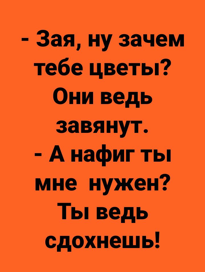 Зая ну зачем тебе цветы Они ведь завя нут А нафиг ты мне нужен Ты ведь сдохнешь