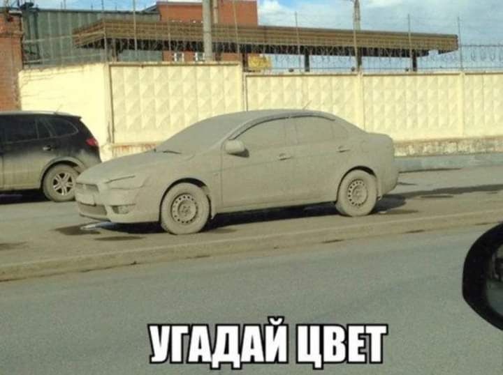 МАЙ ЦВЕТ