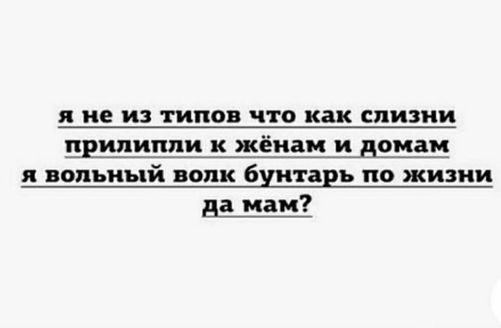 я не из типов что как слизни прилипли к жёиам и домам и вольный волк бунтарь по жизни на мам