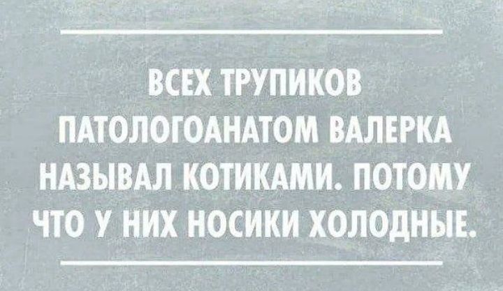 ВСЕХ ТРУПИКОВ ПАТОЛОГОАНАТОМ ВАЛЕРКА НАЗЫВАЛ КОТИКАМИ ПОТОМУ ЧТО У НИХ НОСИКИ ХОЛОДНЫЕ